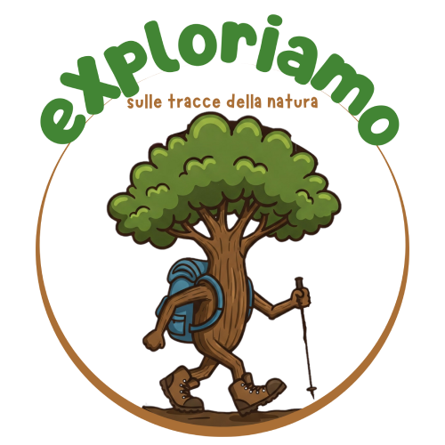 logo 500px